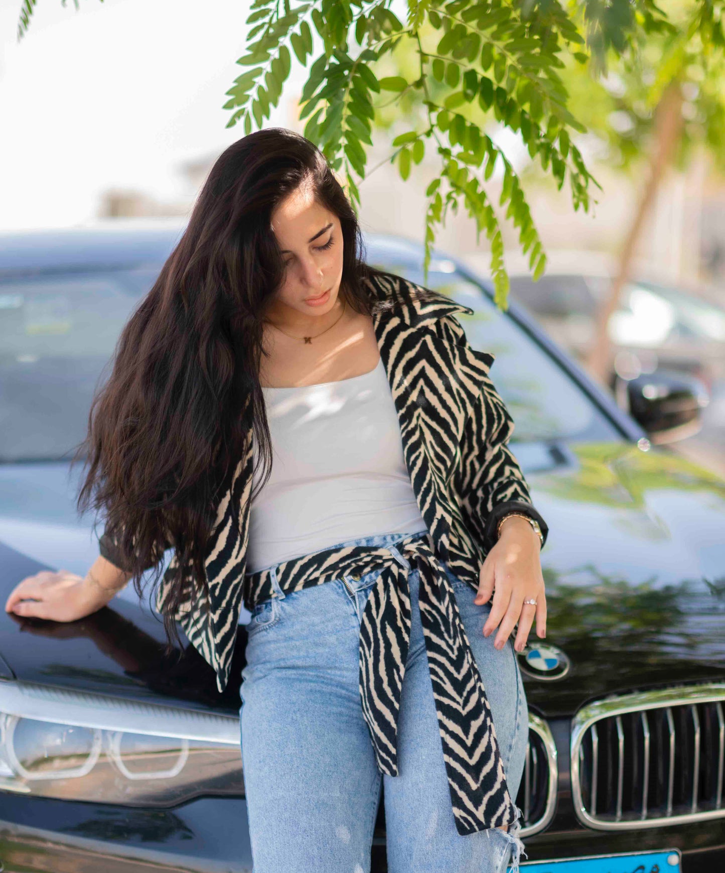 Ele Jacket ( Belt Included )